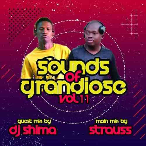 Dj Shima Sounds of Grandiose vol. 11