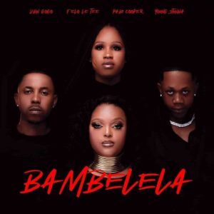 LYRICS: Felo Le Tee & DBN Gogo – Bambelela Lyrics ft. Young Stunna & Pabi Cooper