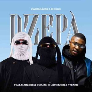 2woBunnies & Ch’cco – Dzepa ft ShaunMusiq, Ftears, Marlode & Owams